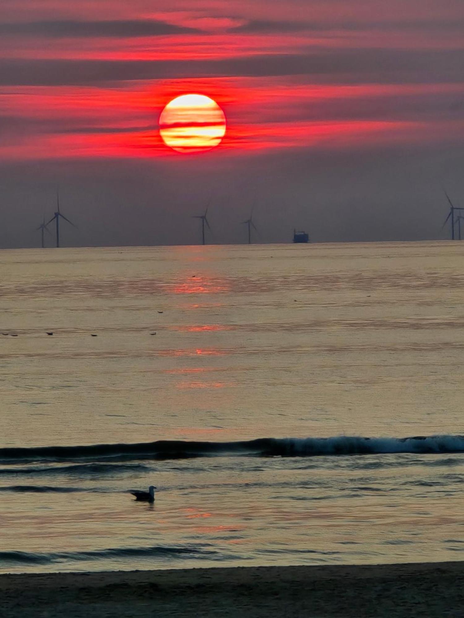 Moana 1 * Egmond aan Zee